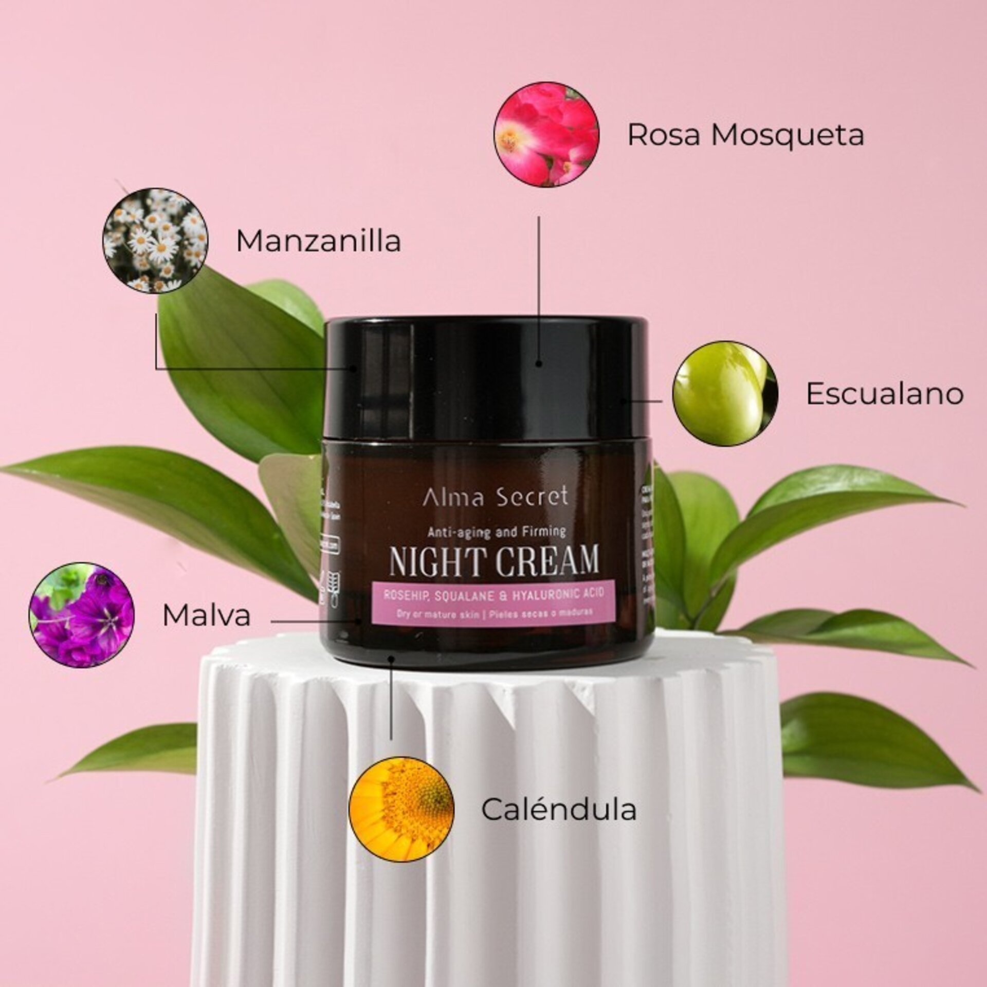 Reparadora de Noche con Rosa Mosqueta - 3